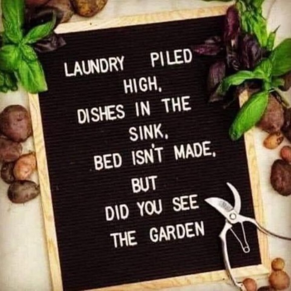 Meet your Posher, Rhiannon - Picture 1 of 1